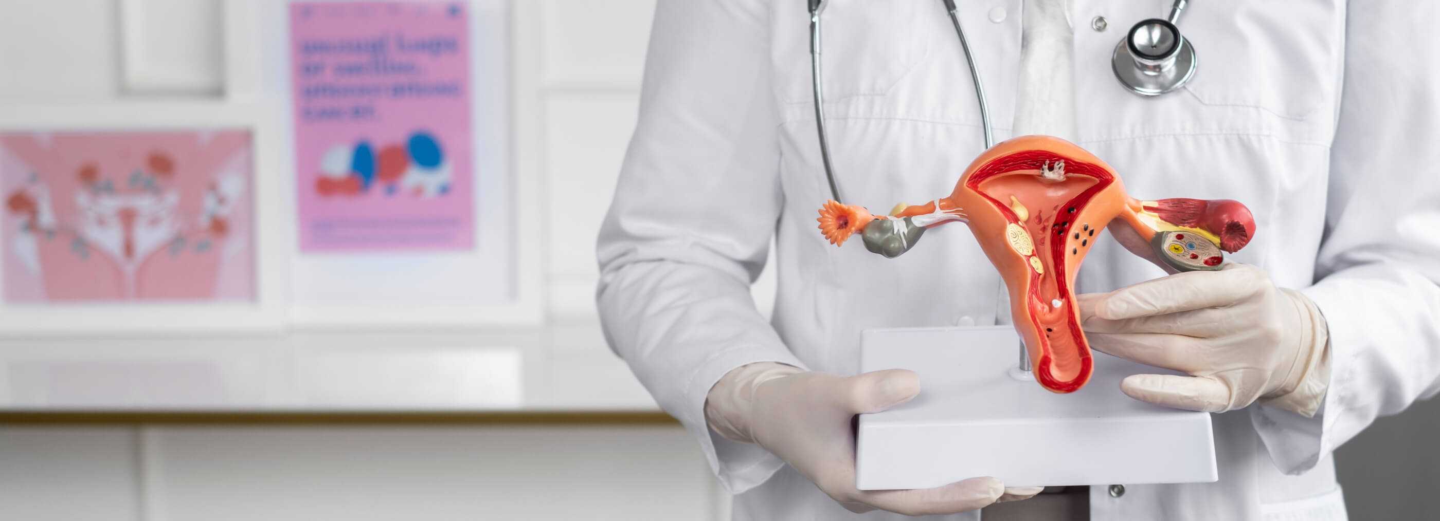 Biopsja szyjki macicy Warszawa - pobranie wycinka | OpenMed