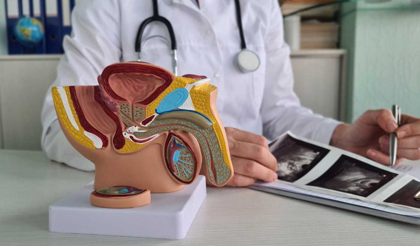 Konsultacja andrologiczno-urologiczna Warszawa Wola i Płock | OpenMed